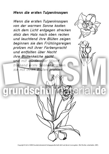 Gedicht-Wenn-die-ersten-Tulpenknospen-SW.pdf